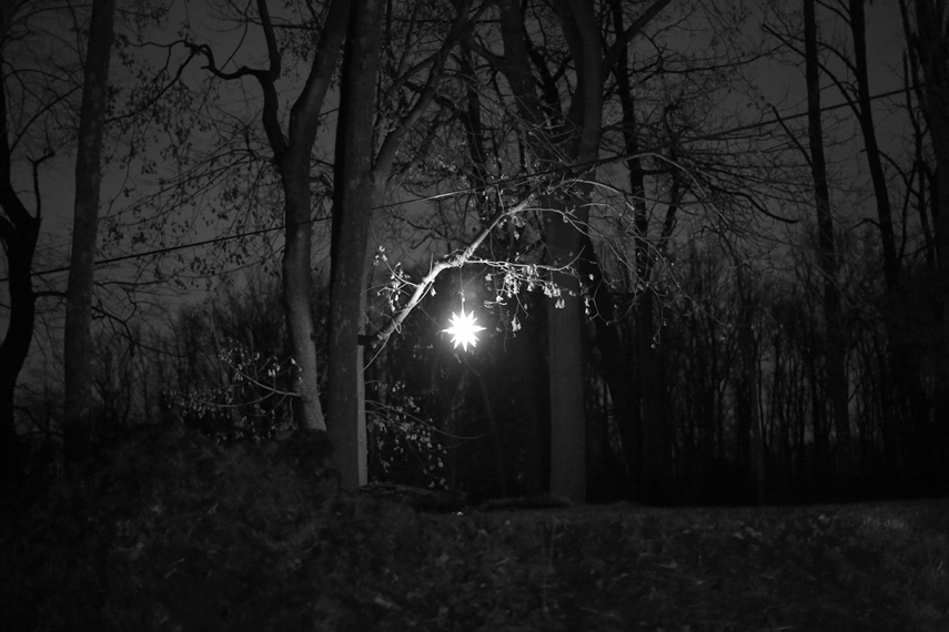 Michael Ast, Spinnerstown, Bucks County, Moravian, Moravian star, woods, Christmas light, light, hanging light, branches, illuminate, evening, holiday, rural, solitary