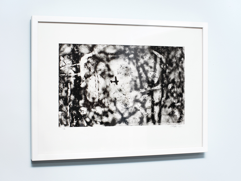 Michael Ast, michaelast, photopolymer, printmaking, printmaker, photo-etching, etching, intaglio, photo etching, Hahnemuhle, Charbonnel, tusche, Haycock Mountain, Bucks County, airplane, summit, aeroplane, prop plane, abstract, expressionism, print, edition size