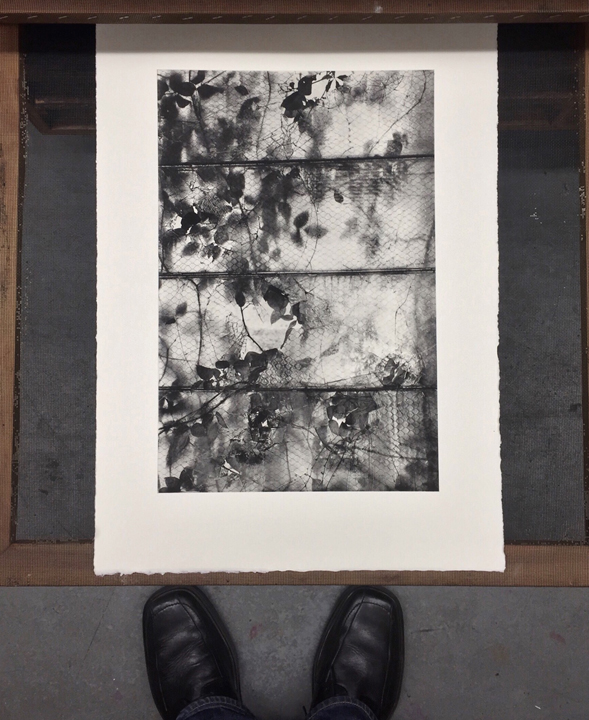 Michael Ast, printmaking, photopolymer, photopolymer etching, etching, intaglio, drying print, Hahnemuhle, Charbonnelle