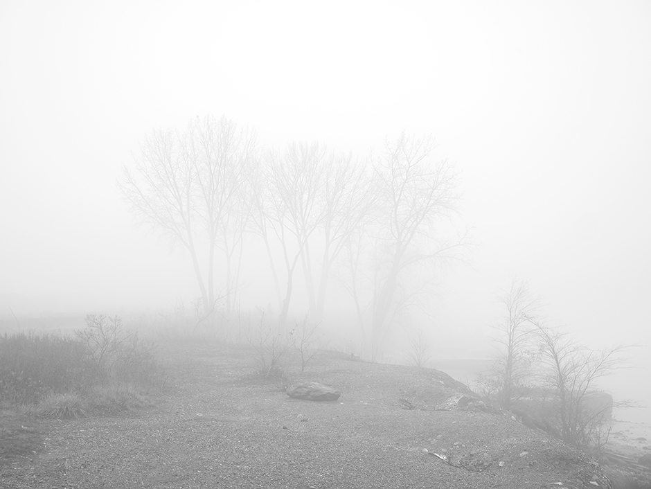Delaware River, Michael Ast, Bucks County, PA, Pennsylvania, fog, river, river bank, overcast, skeletal trees, December, river bank, overcast, limbs, bare, desolation, melancholy