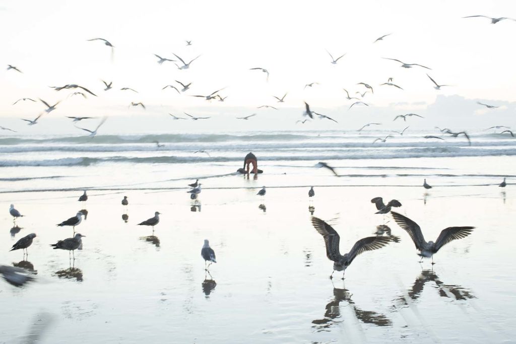 Michael Ast, Costa da Caparica, Portugal, fishermen, sunset, dusk, seagulls, fishing, swarm, ocean, sea, beach