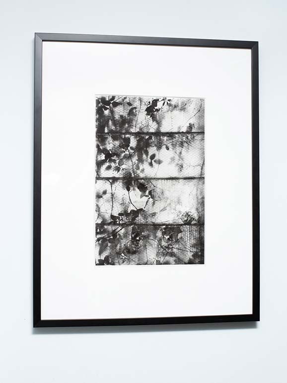 Michael Ast, photopolymer, photo etching, printmaking, intaglio, Kinsey, print