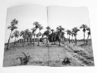 These Windows Are Tinted To Help You Sleep, Michael Ast, zine, Cuba, Vinales, road trip, low-fi, self-publish, photozine, black and white photography, visceral, stream of consciousness, driveby, tinted windows, palms, palm trees, grove