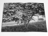 These Windows Are Tinted To Help You Sleep, Michael Ast, zine, Cuba, Vinales, road trip, low-fi, self-publish, photozine, black and white photography, visceral, stream of consciousness, driveby, tinted windows
